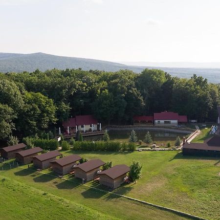 Complex Hamak Hotel Iasi Eksteriør billede